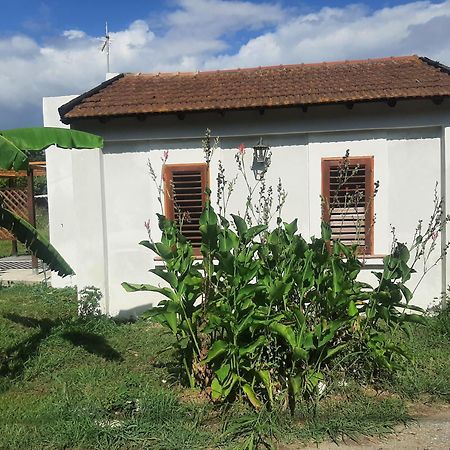 Azienda Agricola Neocastrum Lamezia Terme Exterior foto